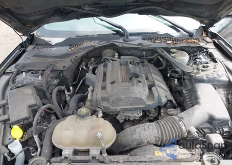 2015 Ford Mustang Ecoboost z USA, uszkodzony, nr VIN 1FA6P8TH5F5374241